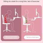 PosturePerfect Lumbar Arc Stretcher