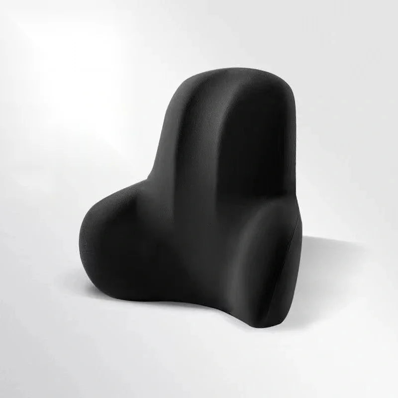PosturePerfect Two-In-One Lumbar Support Cushion